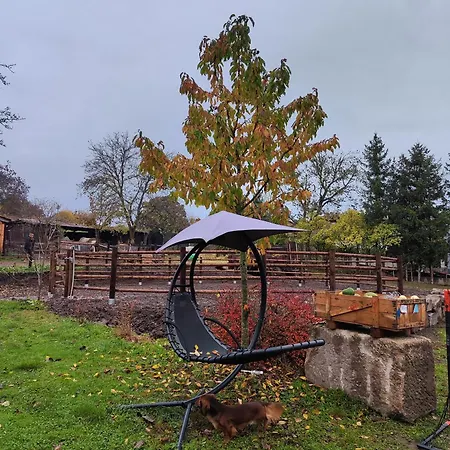 U Koní Appartamento *