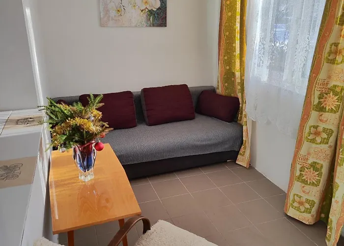 U Koni Apartment Dekov