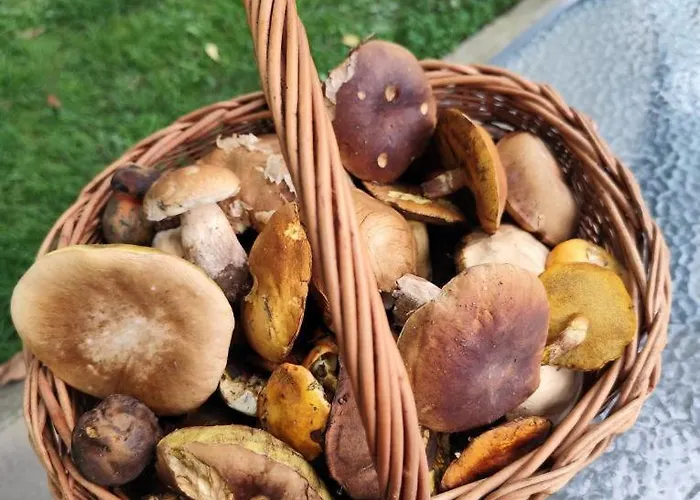 U Koni アパート Dekov